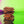 Churros! Toffee and Chocolate Covered Cookie - Knot Another Hat