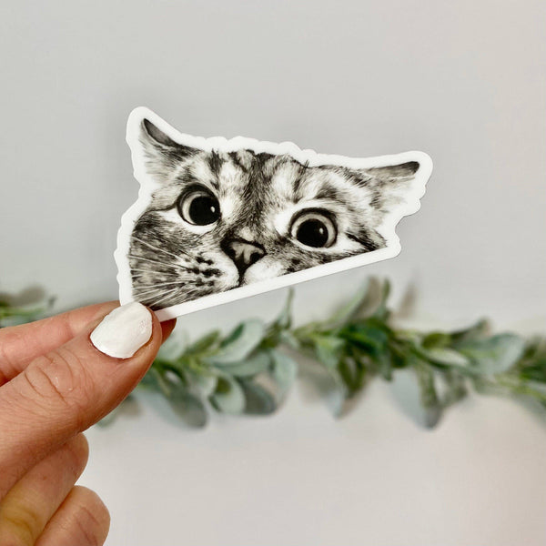 Peeking Cat Stickers - Knot Another Hat