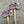 minnie & purl stitch stoppers pink bikes - Knot Another Hat