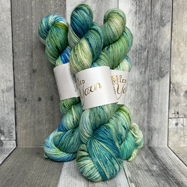 Good Vibes Yarn Tour Less Traveled Yarn Paloma DK rocky shoals - Knot Another Hat