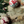 65 new christmas balls to knit - Knot Another Hat