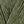 west yorkshire spinners elements dk 1142 olive grove - Knot Another Hat