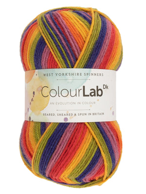 west yorkshire spinners colourlab DK - Knot Another Hat