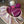 ONLINE CLASS: Introduction to Brioche Knitting :: Sunday April 19 - Knot Another Hat