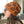 knot another hat deciduous (download)  - Knot Another Hat