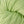 Load image into Gallery viewer, berroco vintage 5124 kiwi - Knot Another Hat
