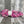 Load image into Gallery viewer, lavendersheep superwash bulky plus! pink dalmation - Knot Another Hat
