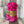 Load image into Gallery viewer, madelinetosh merino light lai - Knot Another Hat
