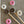 minnie & purl stitch stoppers pink donuts - Knot Another Hat