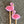 minnie & purl stitch stoppers flamingos - Knot Another Hat